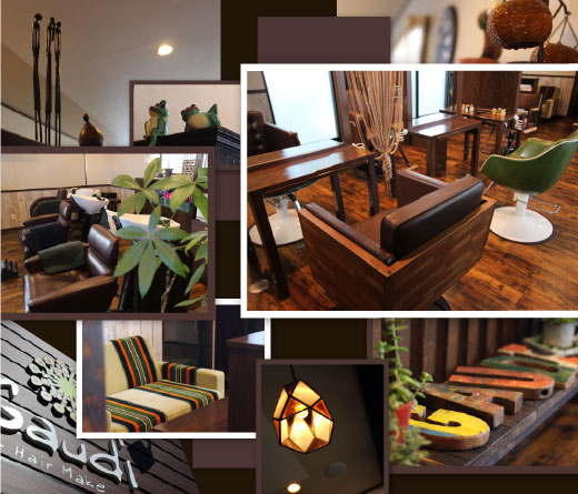 �K�E�f�B�X���l�q